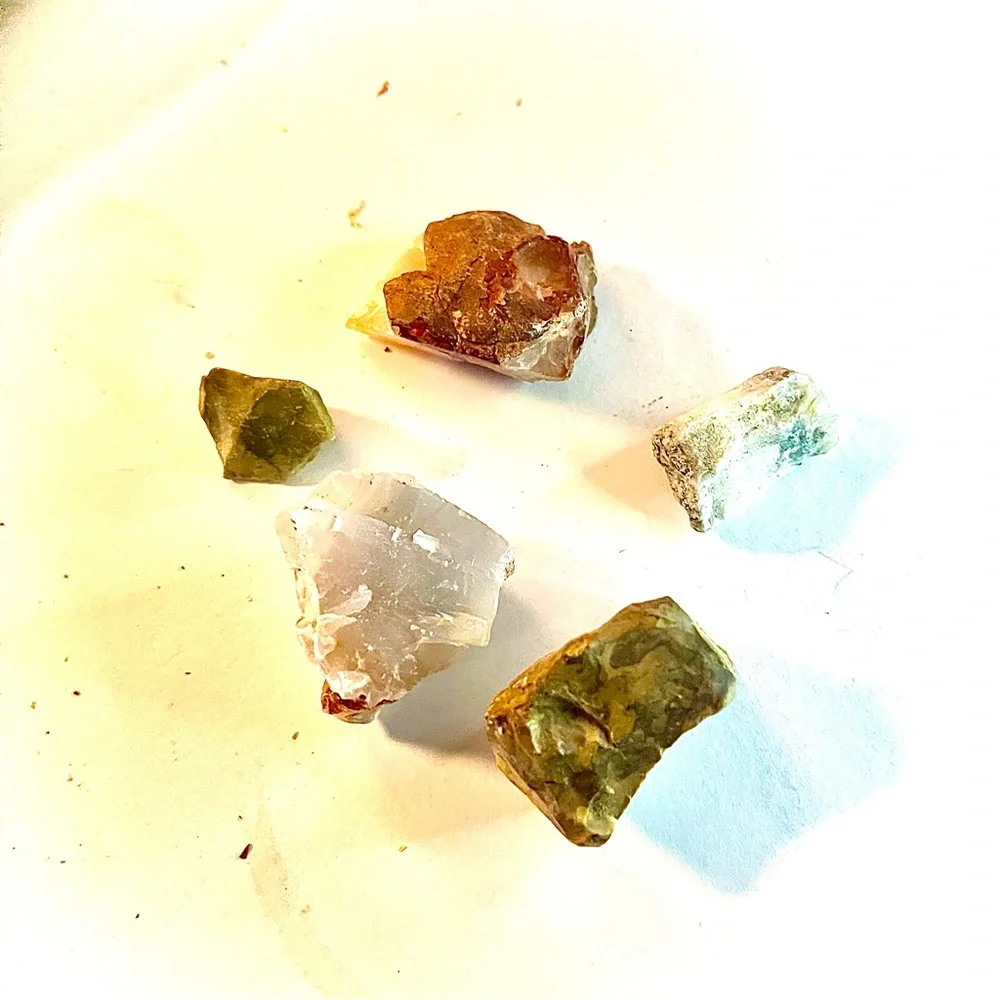 New Petrified Wood Agate Olive Opal Free Form Specimen Chunk 5 Piece 44.9g